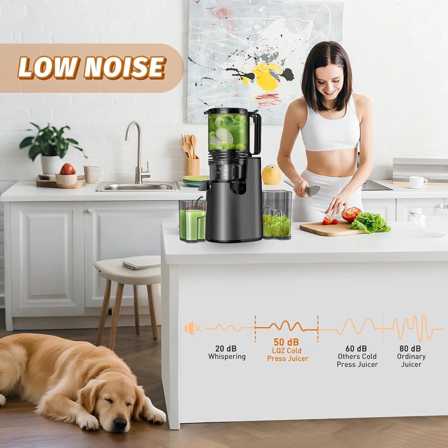 Cold Press Juicer Juicer Machines with 5.4 Wide Feed Chute Professional Slow Masticating Juicer