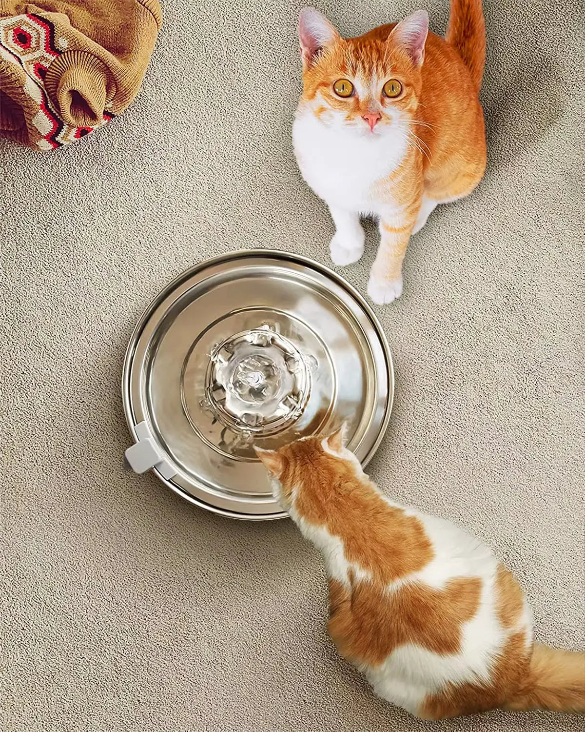 Automatic Pet Water Fountain 2L Stainless Steel Bowl with Filter and Quiet Pump for Cats and Dogs