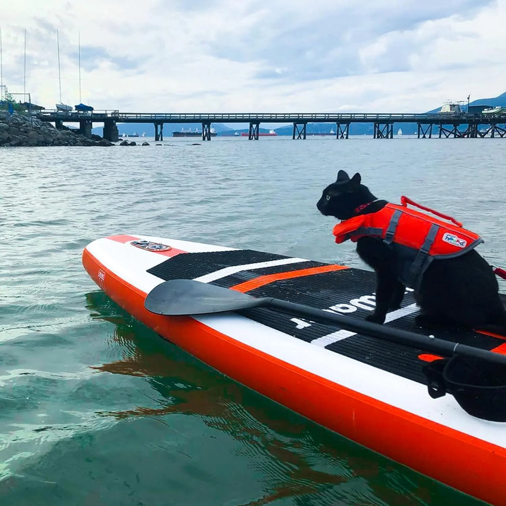 FunWater Inflatable Stand Up Paddle Board with Premium SUP Paddle Accessories, Non-Slip EVA Deck, 11'/10'6' Paddle