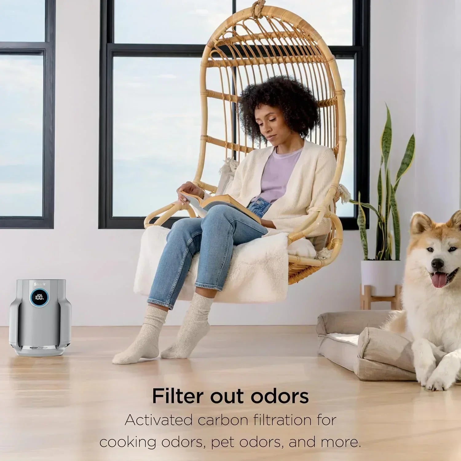Air Purifier Compact Pro with Long-lasting HEPA Exceeding Filtration For Pet Dander Dust Smoke