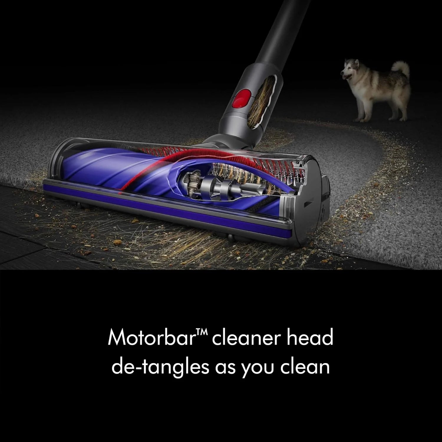Dyson V8 Cordless Vacuum, Cleans Hard Floors and Carpets, Detangles, Converts to Handheld, 115AW, 2 Power Modes, Up to 40 Minutes1