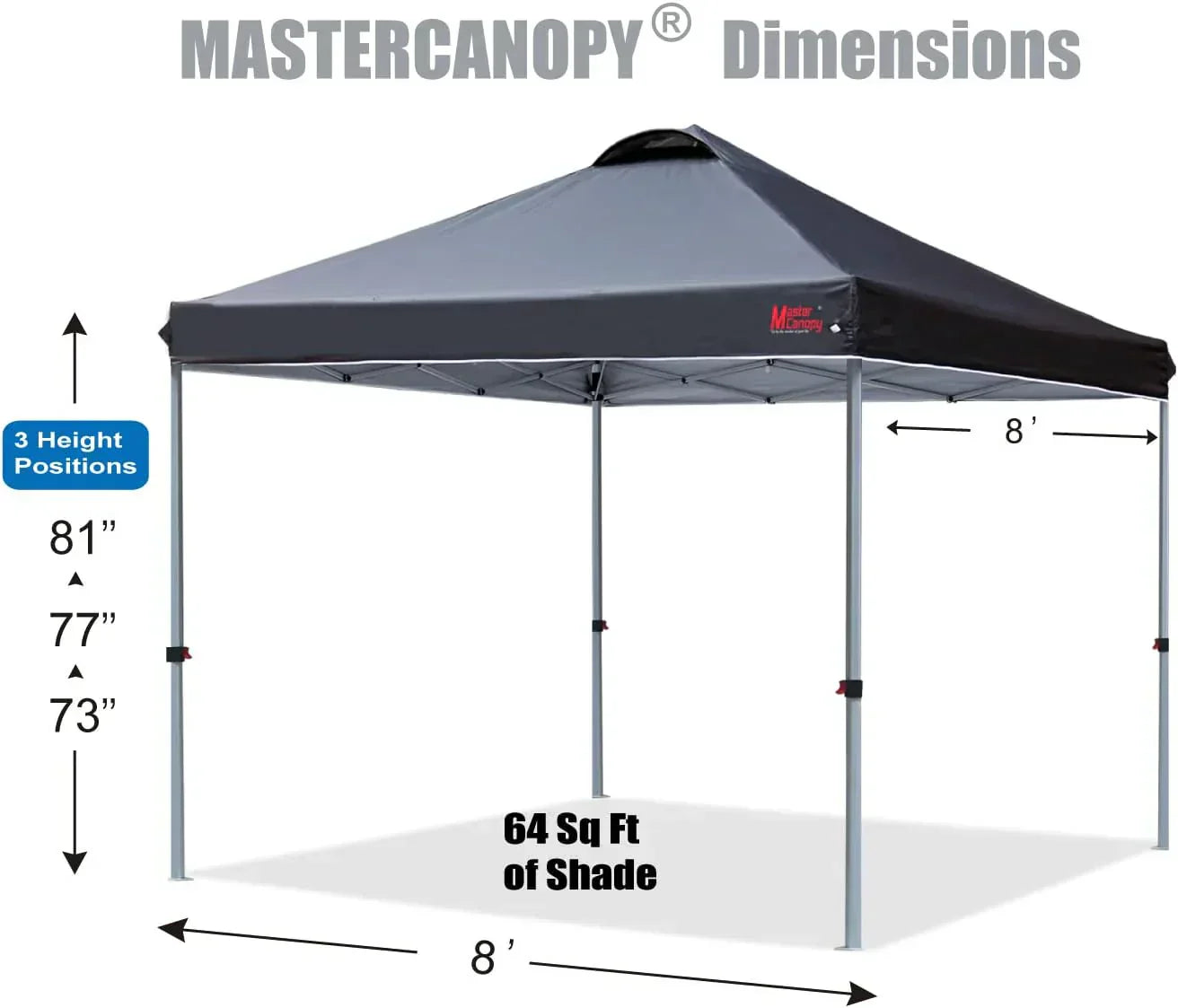 Durable Pop-up Canopy Tent with Roller Bag (10x10 Black)