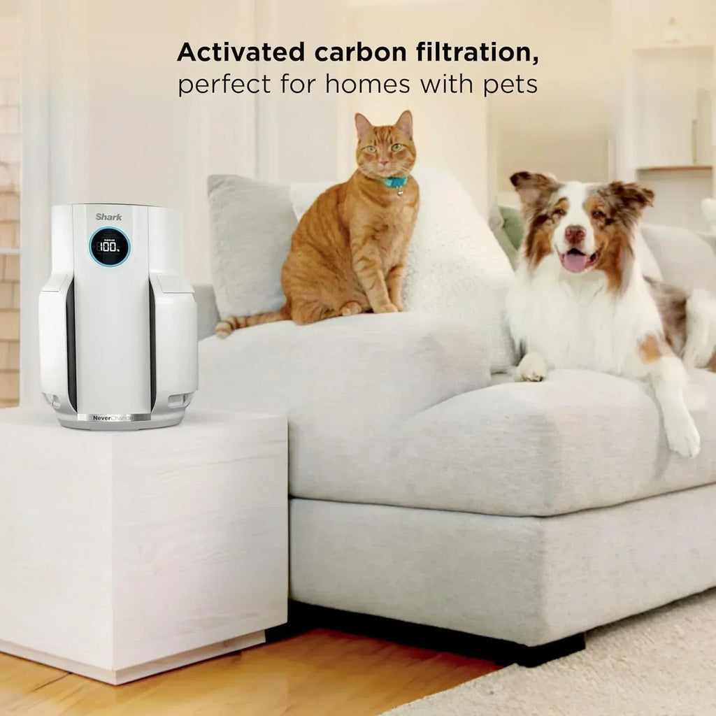 Air Purifier Compact Pro with Long-lasting HEPA Exceeding Filtration For Pet Dander Dust Smoke