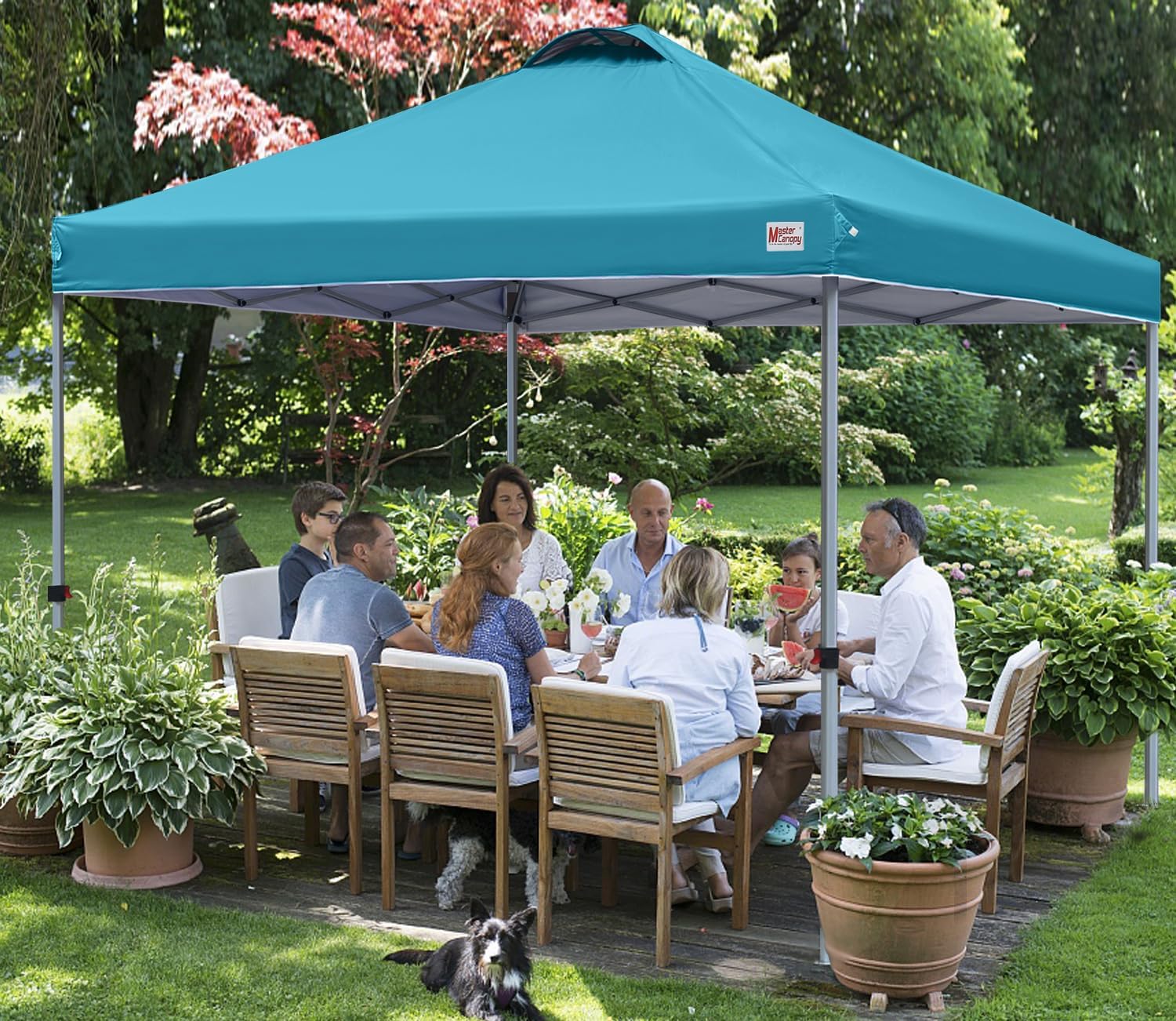 Durable Pop-up Canopy Tent with Roller Bag (10x10 Black)